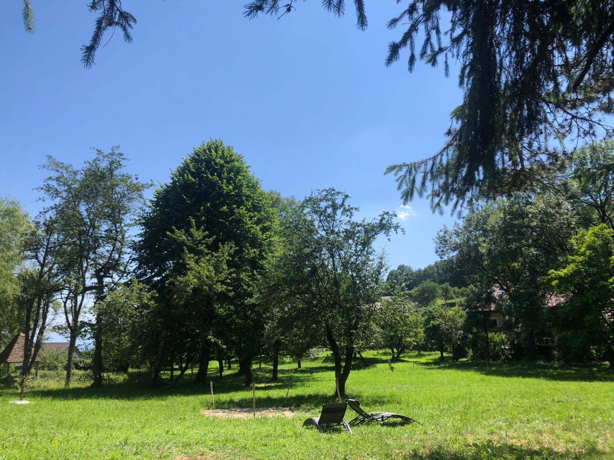Domaine Du Tres-Haut - Chateau De Montanges المظهر الخارجي الصورة
